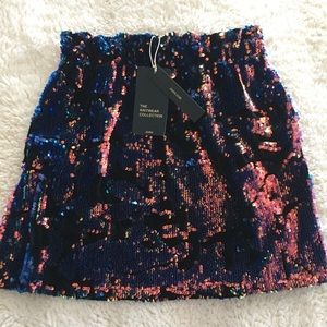 NWT Zara skirt
